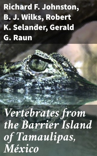 Vertebrates from the Barrier Island of Tamaulipas, México