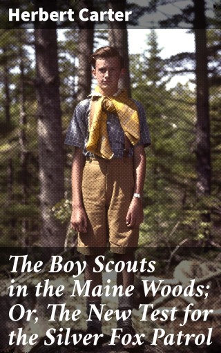 The Boy Scouts in the Maine Woods; Or, The New Test for the Silver Fox Patrol