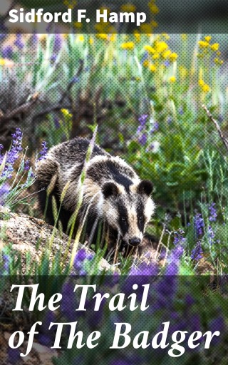 Portada del libro «The Trail of The Badger», de Sidford F. Hamp