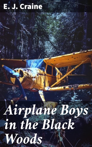 Airplane Boys in the Black Woods