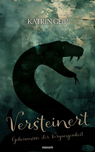 Portada del libro «Versteinert», de Katrin Geip