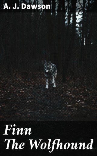 Finn The Wolfhound
