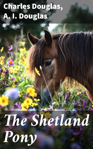 The Shetland Pony