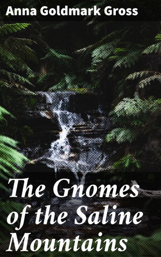 The Gnomes of the Saline Mountains