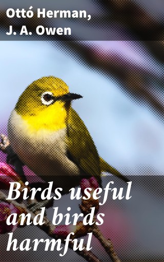 Birds useful and birds harmful