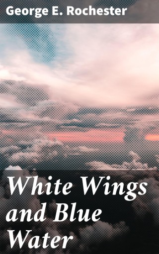 White Wings and Blue Water