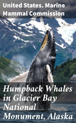 Humpback Whales in Glacier Bay National Monument, Alaska
