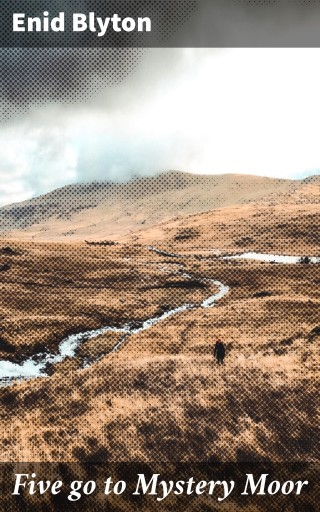 Five go to Mystery Moor