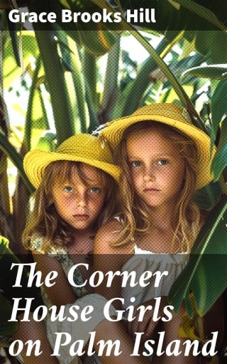 The Corner House Girls on Palm Island