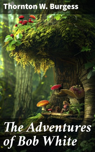 The Adventures of Bob White