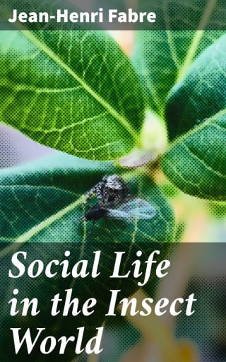Social Life in the Insect World