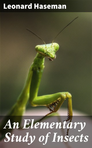 An Elementary Study of Insects