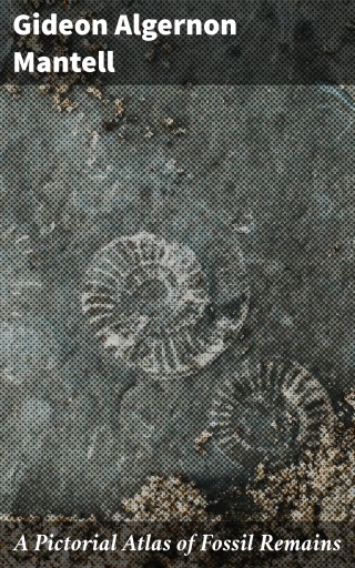 A Pictorial Atlas of Fossil Remains