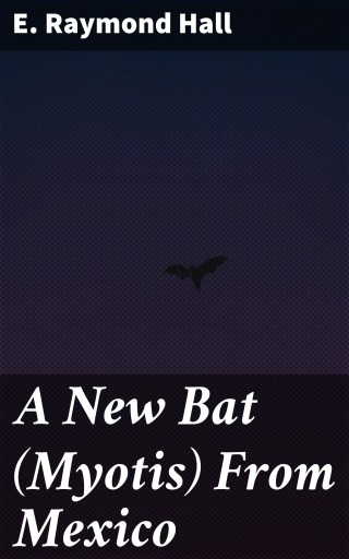 A New Bat (Myotis) From Mexico