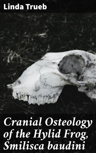 Cranial Osteology of the Hylid Frog, Smilisca baudini