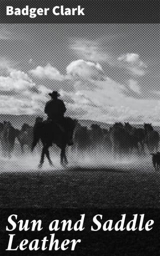 Sun and Saddle Leather