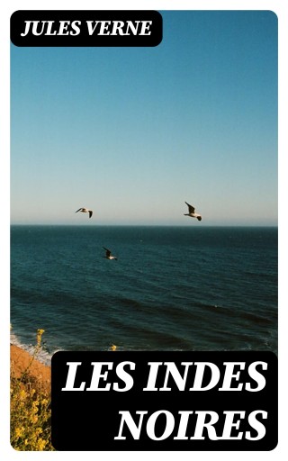 Portada del libro «Les Indes Noires», de Jules Verne