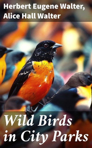 Wild Birds in City Parks