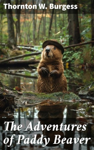 The Adventures of Paddy Beaver