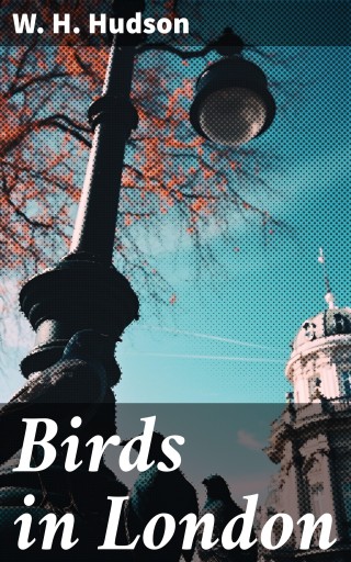 Birds in London