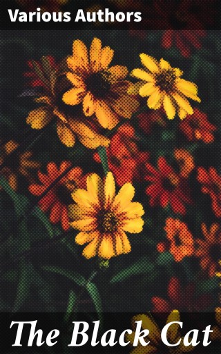 The Black Cat