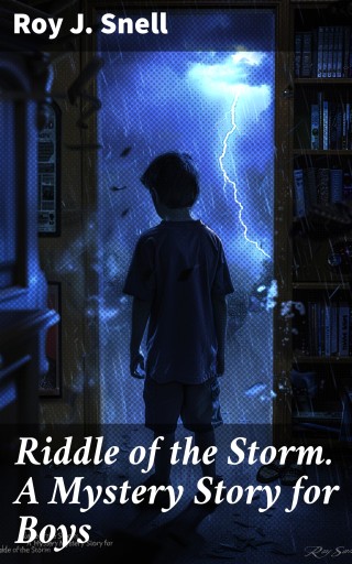 Riddle of the Storm. A Mystery Story for Boys