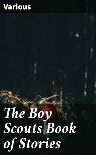 The Boy Scouts Book of Stories