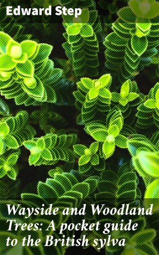 Wayside and Woodland Trees: A pocket guide to the British sylva