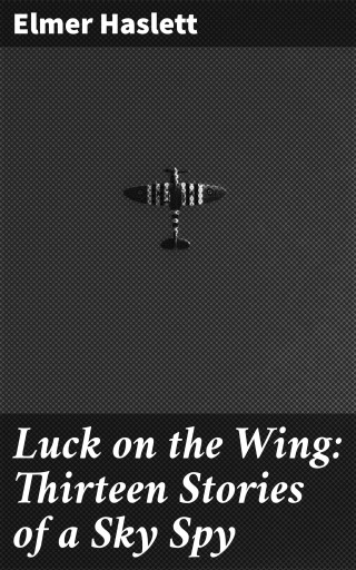 Luck on the Wing: Thirteen Stories of a Sky Spy