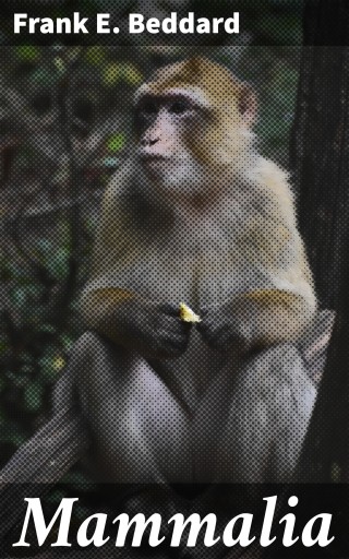 Mammalia