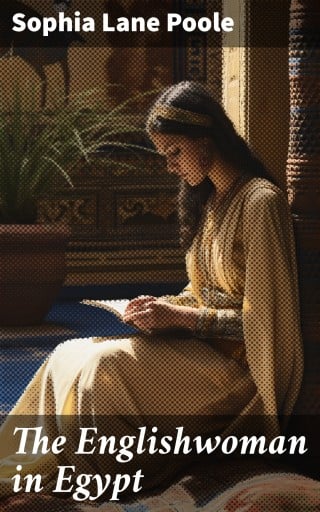 The Englishwoman in Egypt