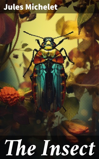 The Insect