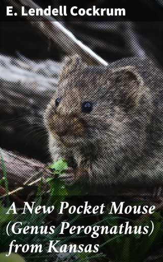 A New Pocket Mouse (Genus Perognathus) from Kansas