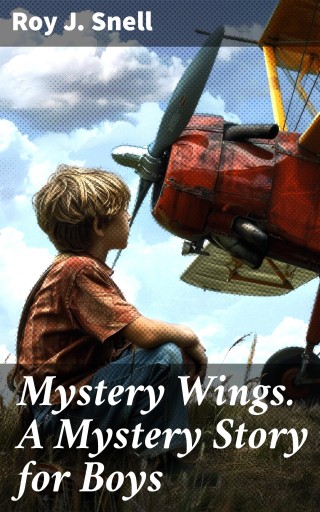 Mystery Wings. A Mystery Story for Boys