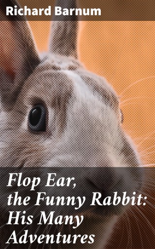 Flop Ear, the Funny Rabbit: His Many Adventures