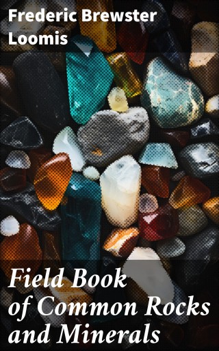 Field Book of Common Rocks and Minerals
