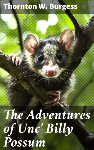 The Adventures of Unc' Billy Possum