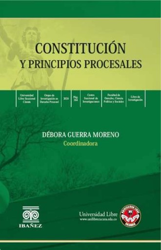 Constitución y principios procesales