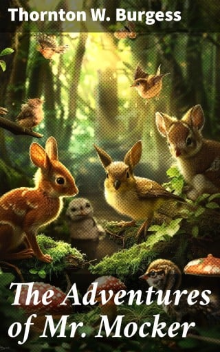 The Adventures of Mr. Mocker