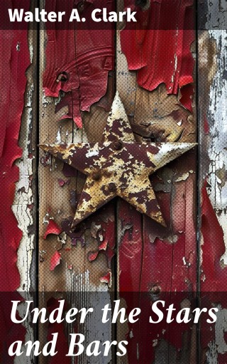 Portada del libro «Under the Stars and Bars», de Walter A. Clark