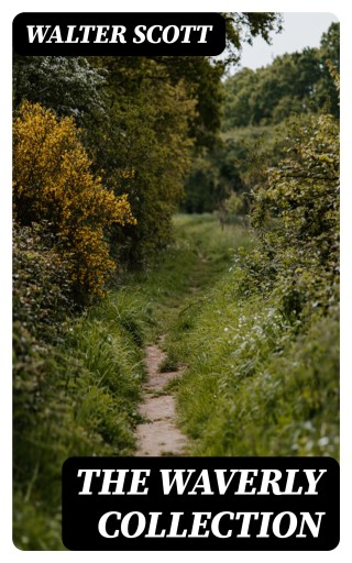 The Waverly Collection