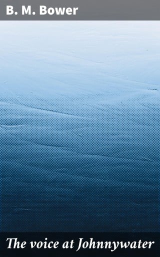 The voice at Johnnywater