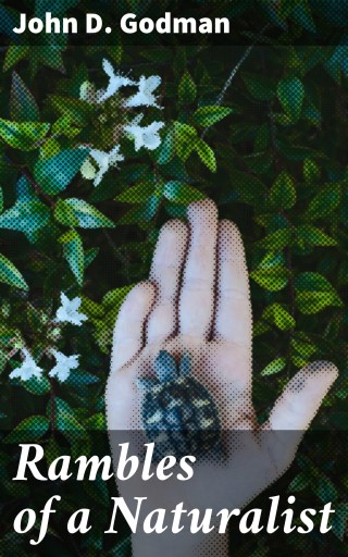 Rambles of a Naturalist