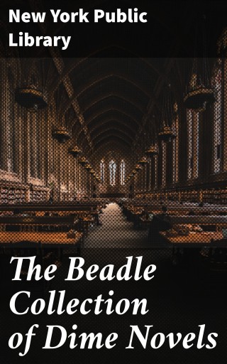 The Beadle Collection of Dime Novels