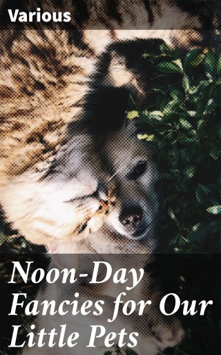 Noon-Day Fancies for Our Little Pets