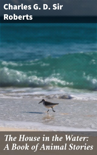 The House in the Water: A Book of Animal Stories
