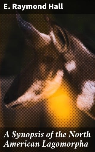 A Synopsis of the North American Lagomorpha