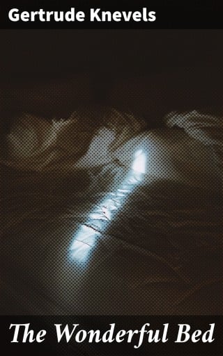 The Wonderful Bed
