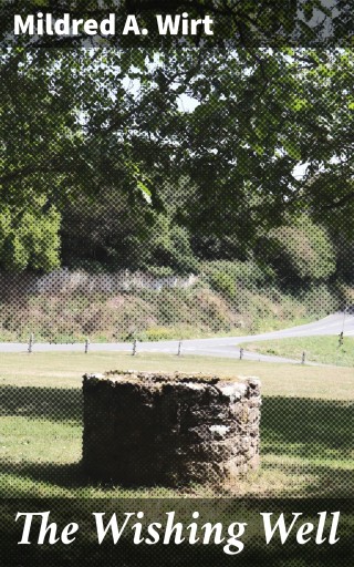 The Wishing Well