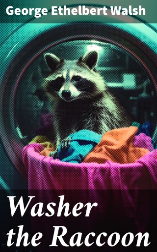 Washer the Raccoon